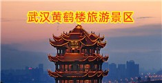 操臊逼屌哥草臊妞逼