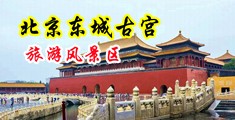 骚逼综合网!中国北京-东城古宫旅游风景区